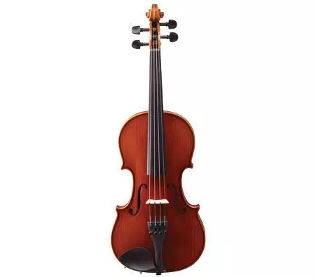 Eastman Strings Model 80 Student Violin Outfit